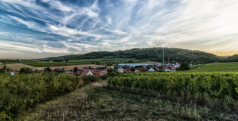 Gemarkung Kleinkarlbach